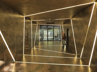 Entrance hallway with modern lighting and storage.