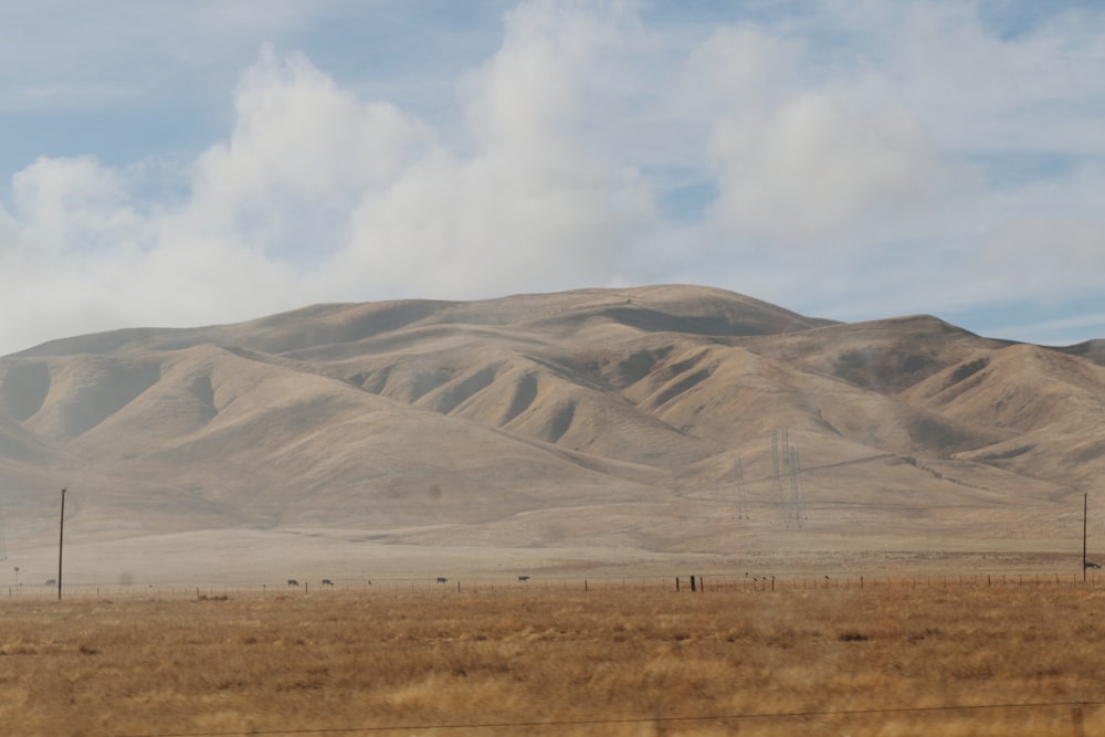 a field with a mountain in the background