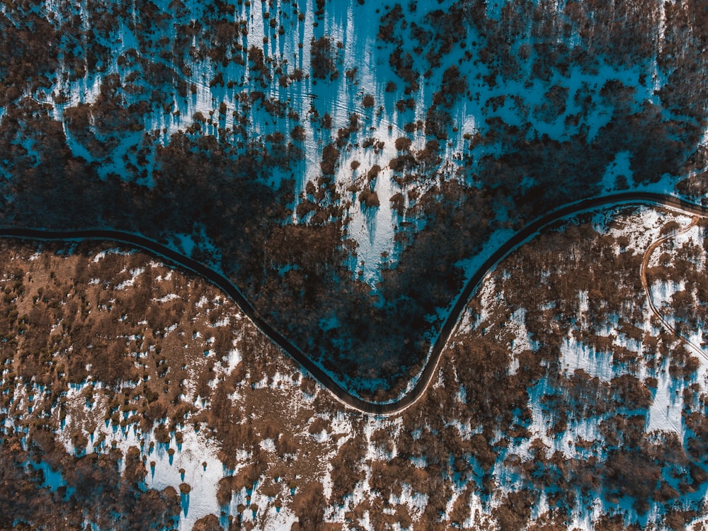 an aerial view of a river running through a forest