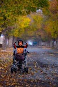 Lightweight Stroller