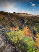 A breathtaking landscape with vibrant colors and details.