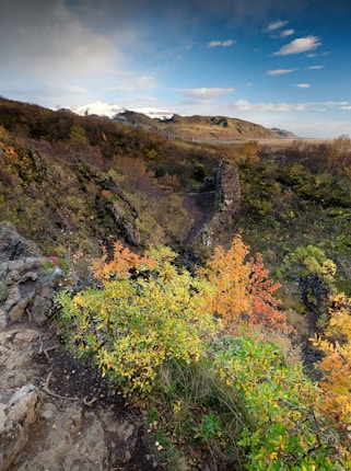 A breathtaking landscape captures a lush, colorful forest with vibrant green and orange foliage. Rugged terrain leads to distant snow-capped mountains under a partly cloudy sky, creating a mix of natural textures and contrasts.