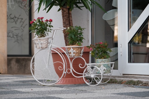 A decorative metal bicycle plant stand holds two potted plants with vibrant flowers. The bicycle is white with intricate scroll designs, and the planters add a rustic charm. The location appears to be an outdoor area next to a building, with graffiti visible on a nearby wall and a glass door with a reflective surface in the background.