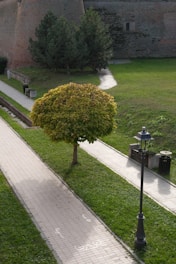 A neatly maintained park area featuring a narrow paved walkway bordered by grass. A small, symmetrical tree with dense foliage stands alongside the path, while a vintage-style lamppost and a trash bin are positioned nearby. An old stone wall and dense green trees form the backdrop.