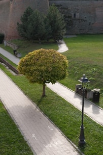 A neatly maintained park area featuring a narrow paved walkway bordered by grass. A small, symmetrical tree with dense foliage stands alongside the path, while a vintage-style lamppost and a trash bin are positioned nearby. An old stone wall and dense green trees form the backdrop.