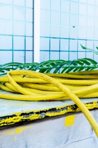 A coil of yellow garden hose is resting on a wooden surface with chipped paint, in front of a blue tiled wall. Several green leaves are visible beneath the hose, adding a touch of nature to the scene.