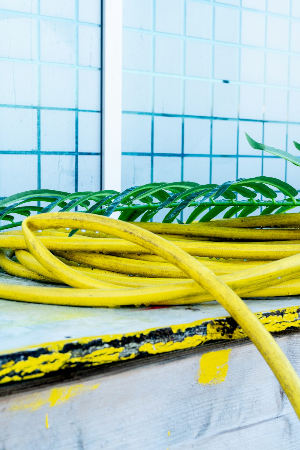 a bunch of yellow hoses sitting on top of a table