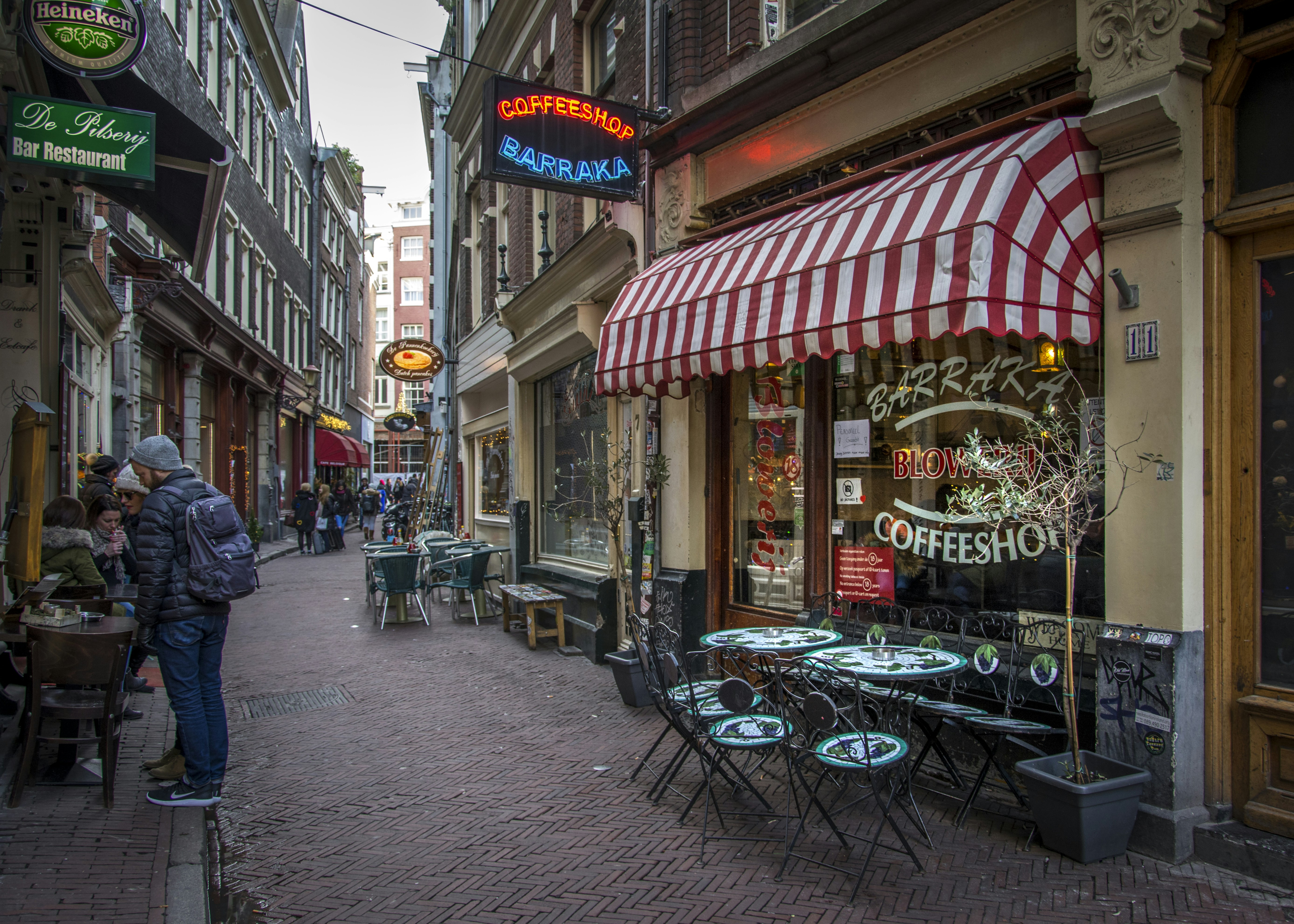 Afbeelding van Nederland