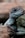 A close-up of a vibrant uromastyx lizard basking under a heat lamp.