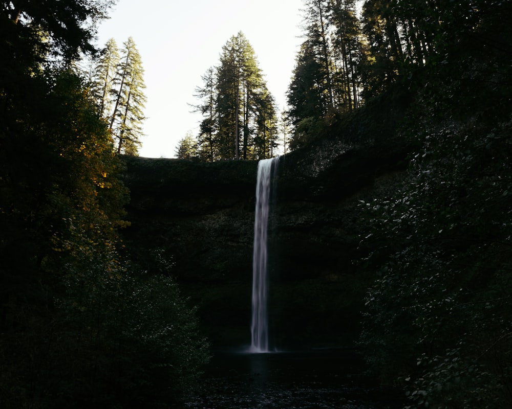 a large waterfall in the middle of a forest