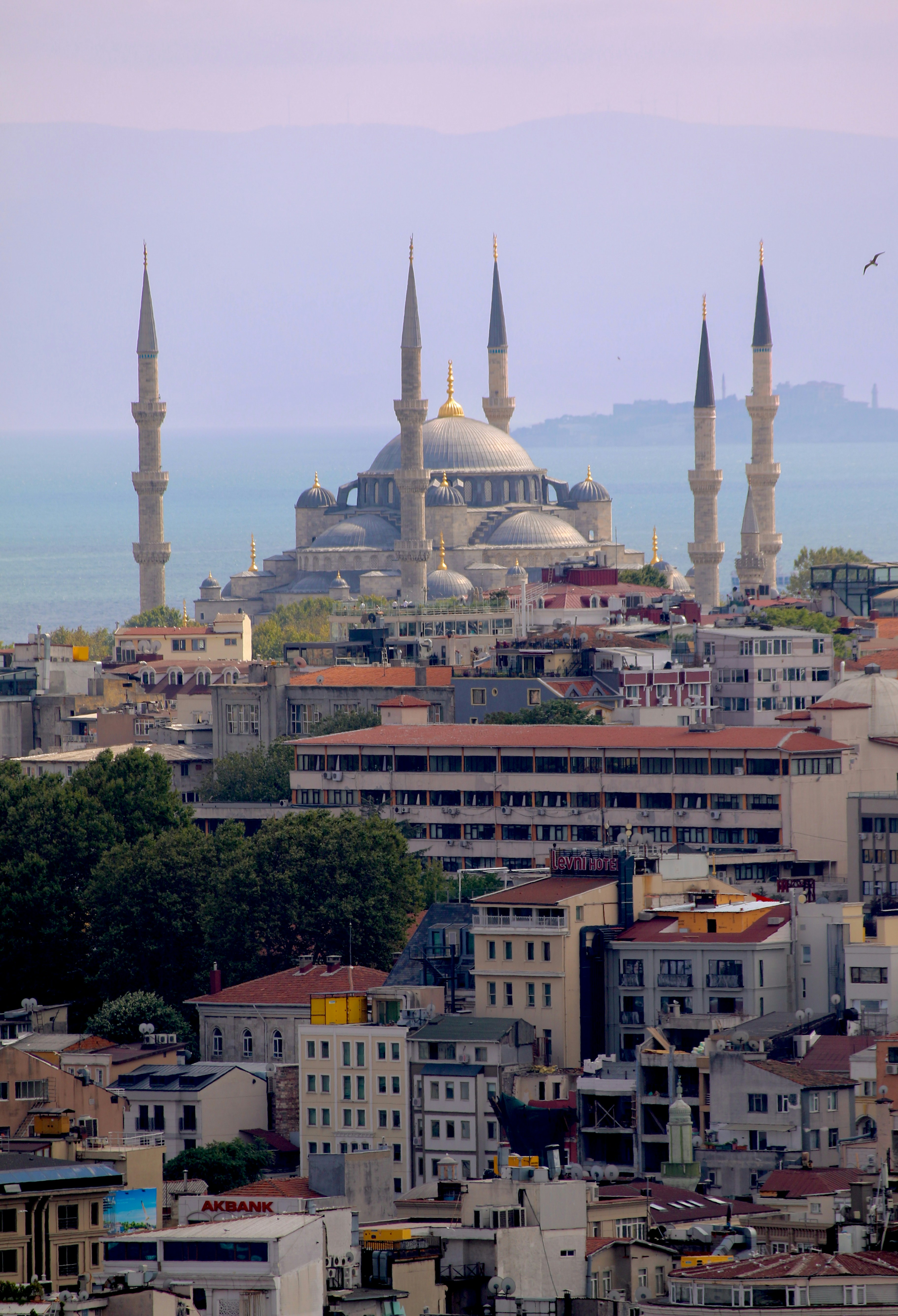 Photo by ashjcoronado