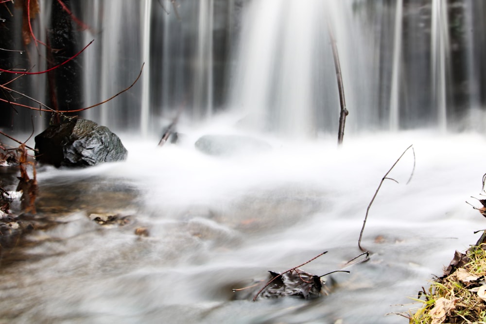 um fluxo de água correndo através de uma floresta