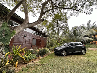 An empty holiday home surrounded by tropical plants, viewed from the driveway.