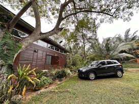 A wooden house with large windows surrounded by lush green foliage. A black SUV is parked on a grassy area beside the house. Various tropical plants and trees are visible, including tall palm trees and smaller, vibrant shrubs. The setting appears serene and natural with a mix of green, brown, and earthy tones.