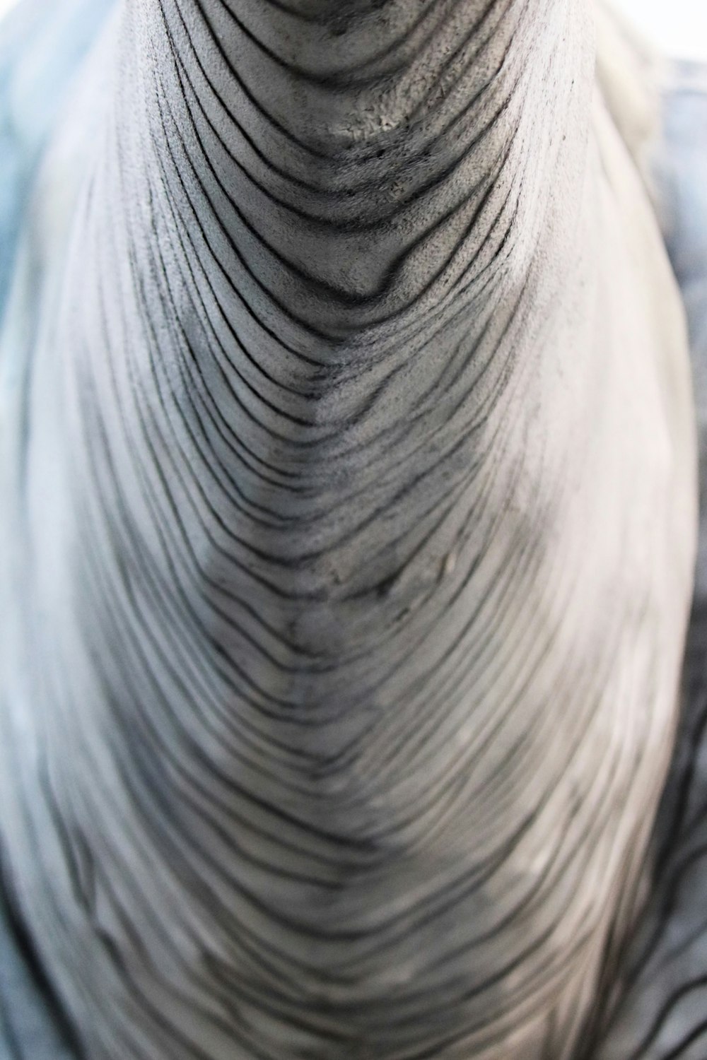 a close up of an elephant's trunk and trunk