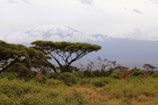 A traveler enjoying a scenic view of an East African landscape.
