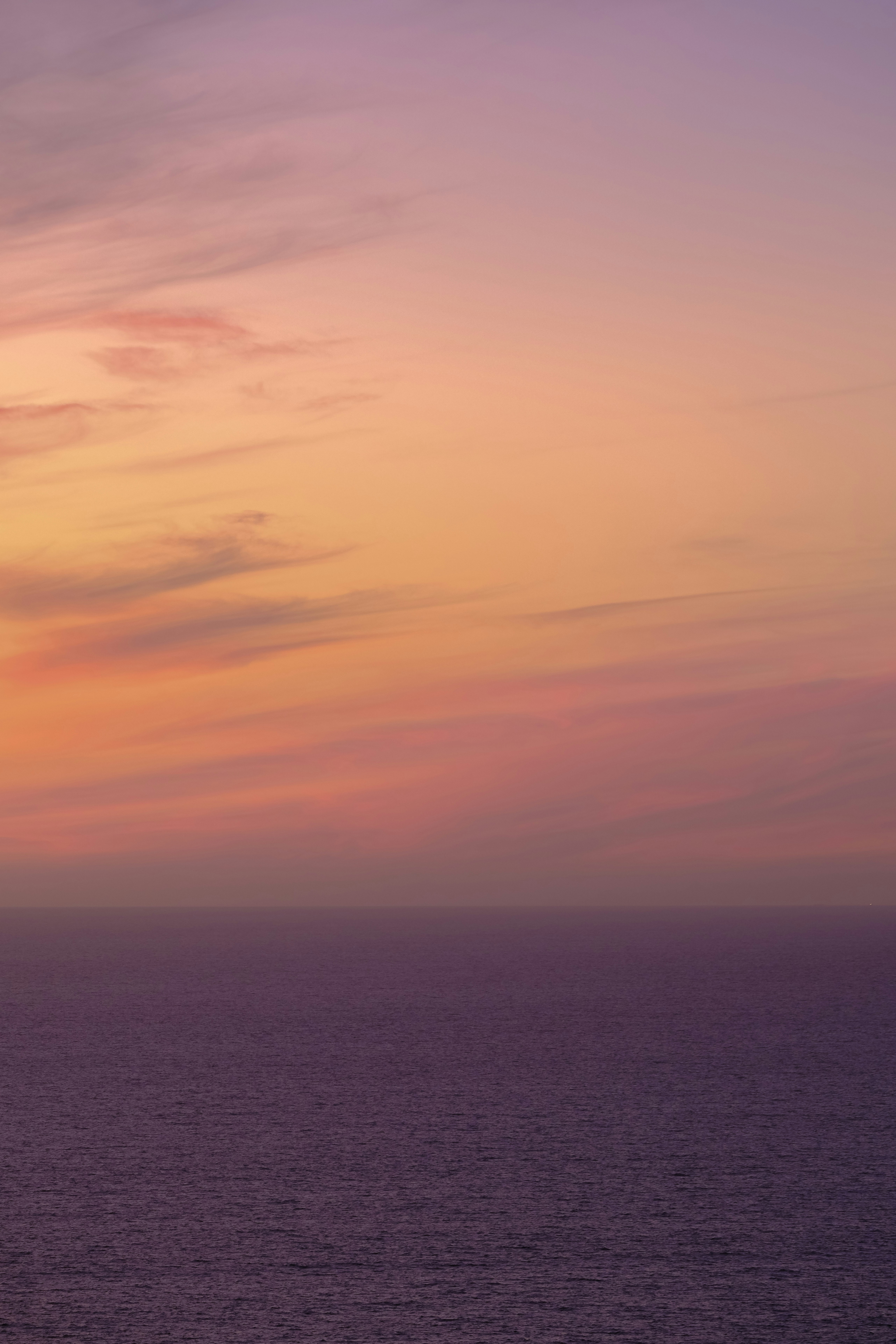 Photo by cestmoisheedy