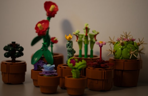 A beautifully arranged collection of unique planters.