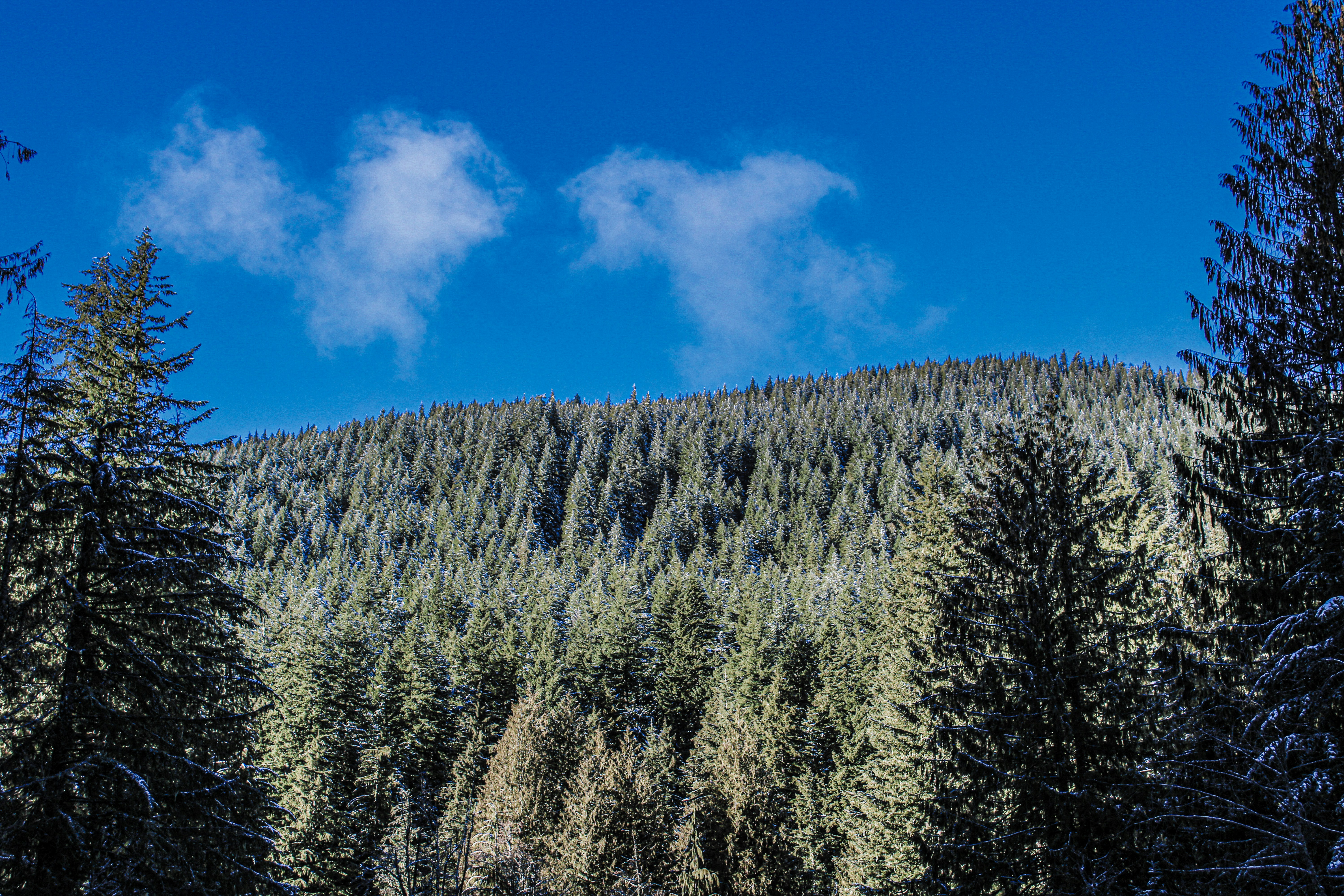 Photo by prphotography262