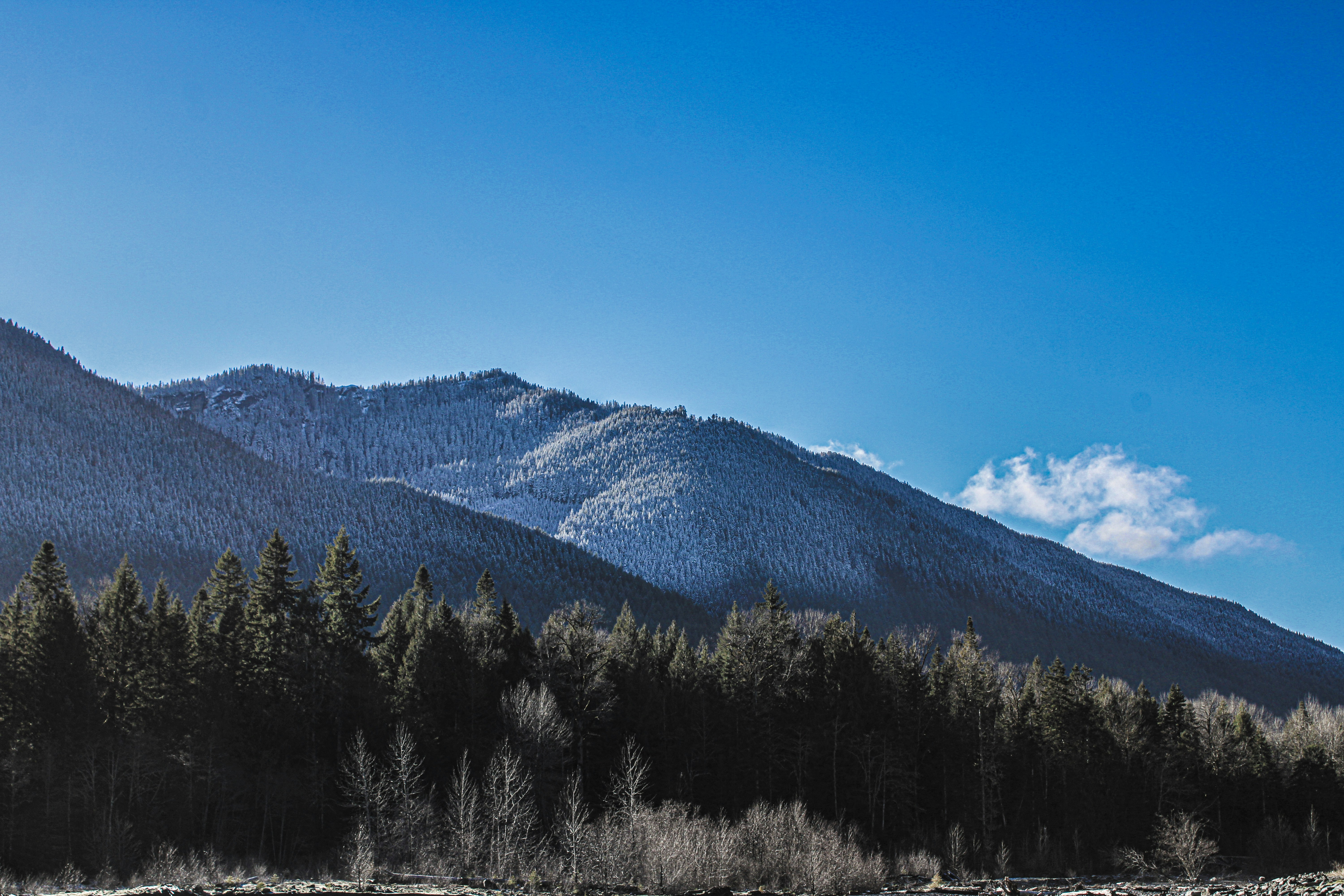 Photo by prphotography262