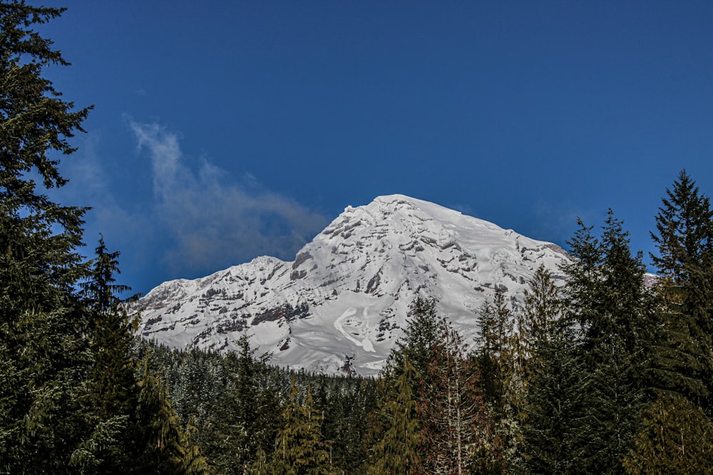 a snow covered mountain surrounded by trees under a blue sky