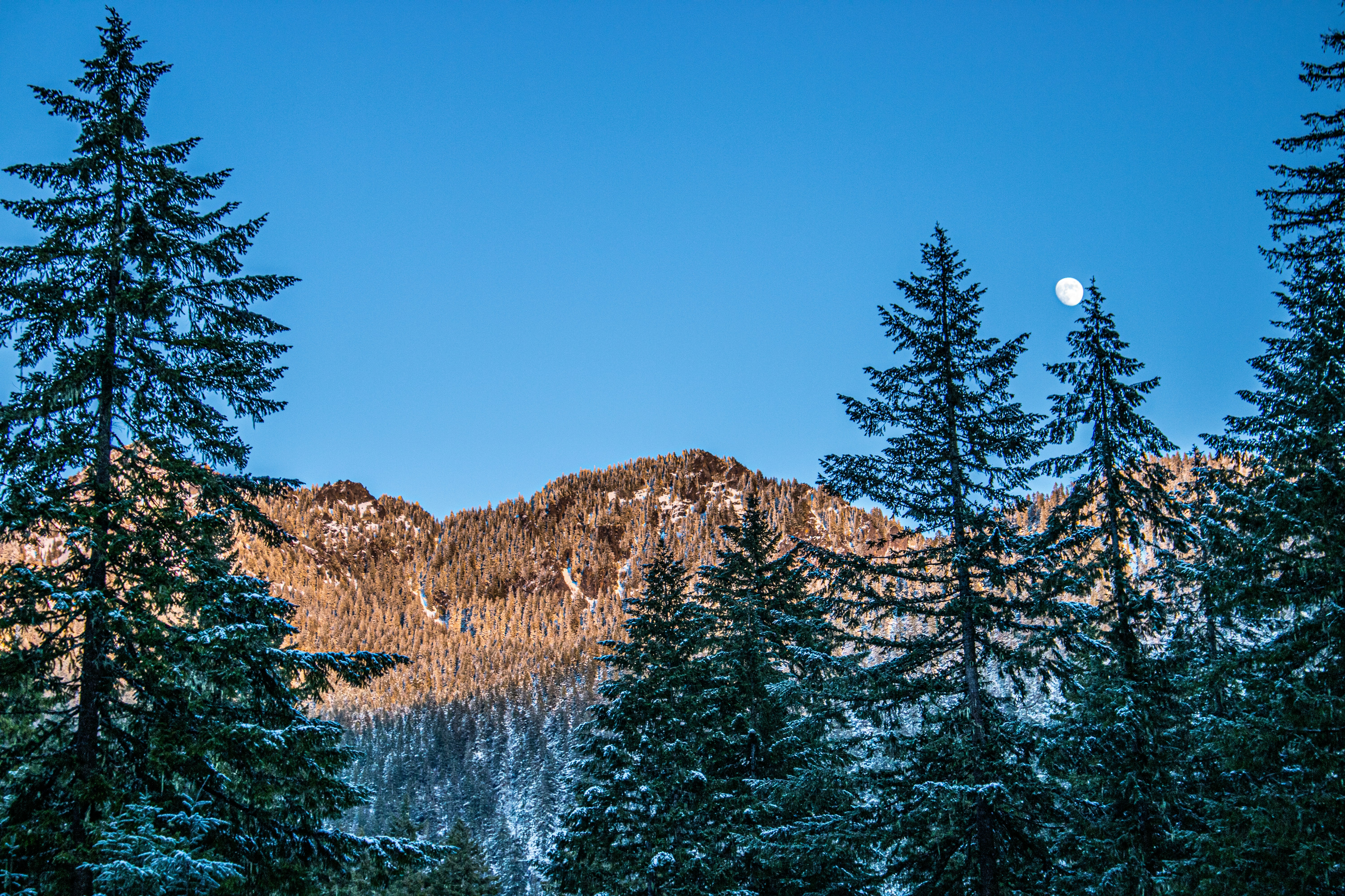 Photo by prphotography262