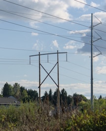 Power lines stretch across a clear blue sky with a few fluffy clouds. Below the lines, there is a mixture of residential rooftops and dense greenery, including trees and bushes.