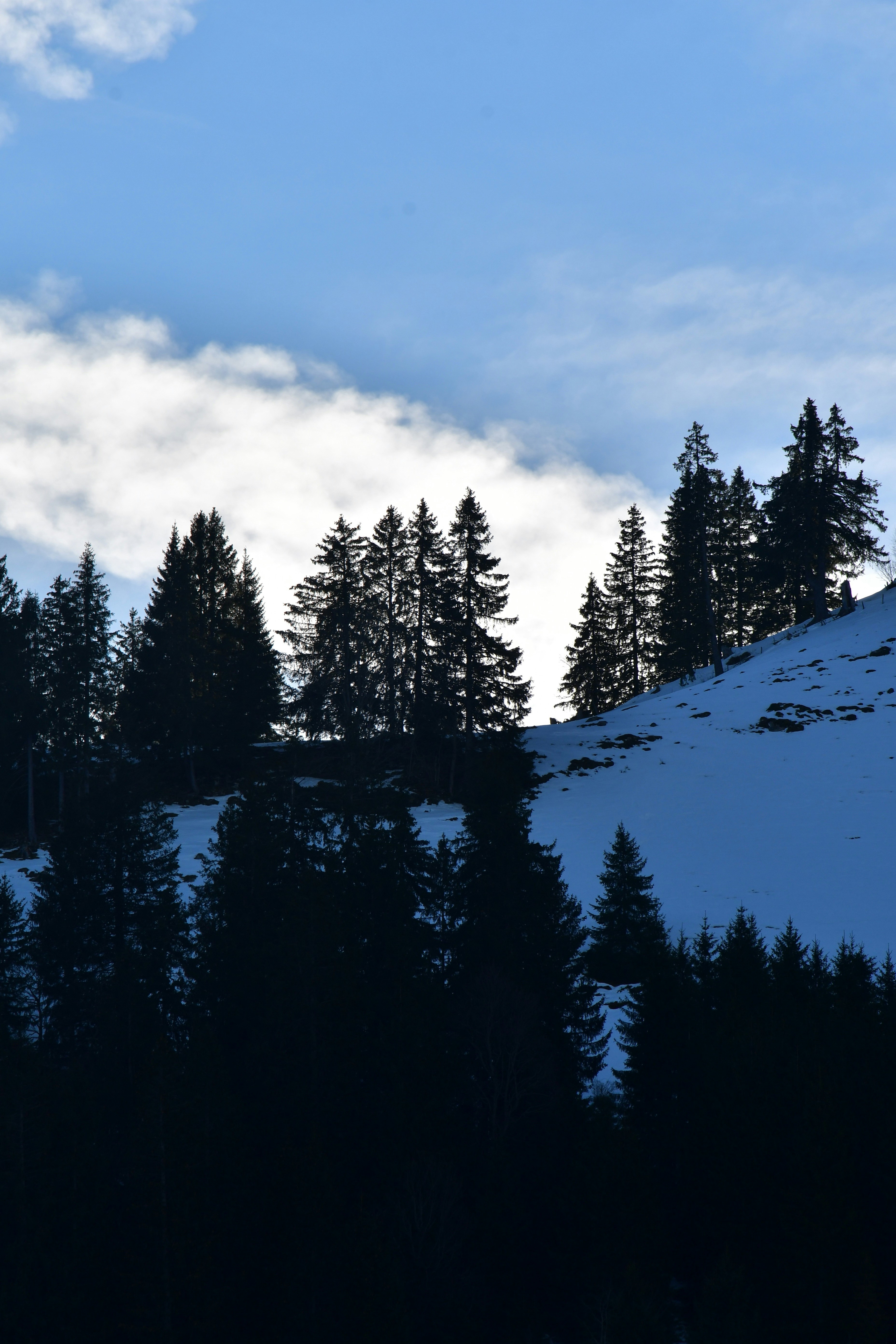 Photo by pedrino5_official