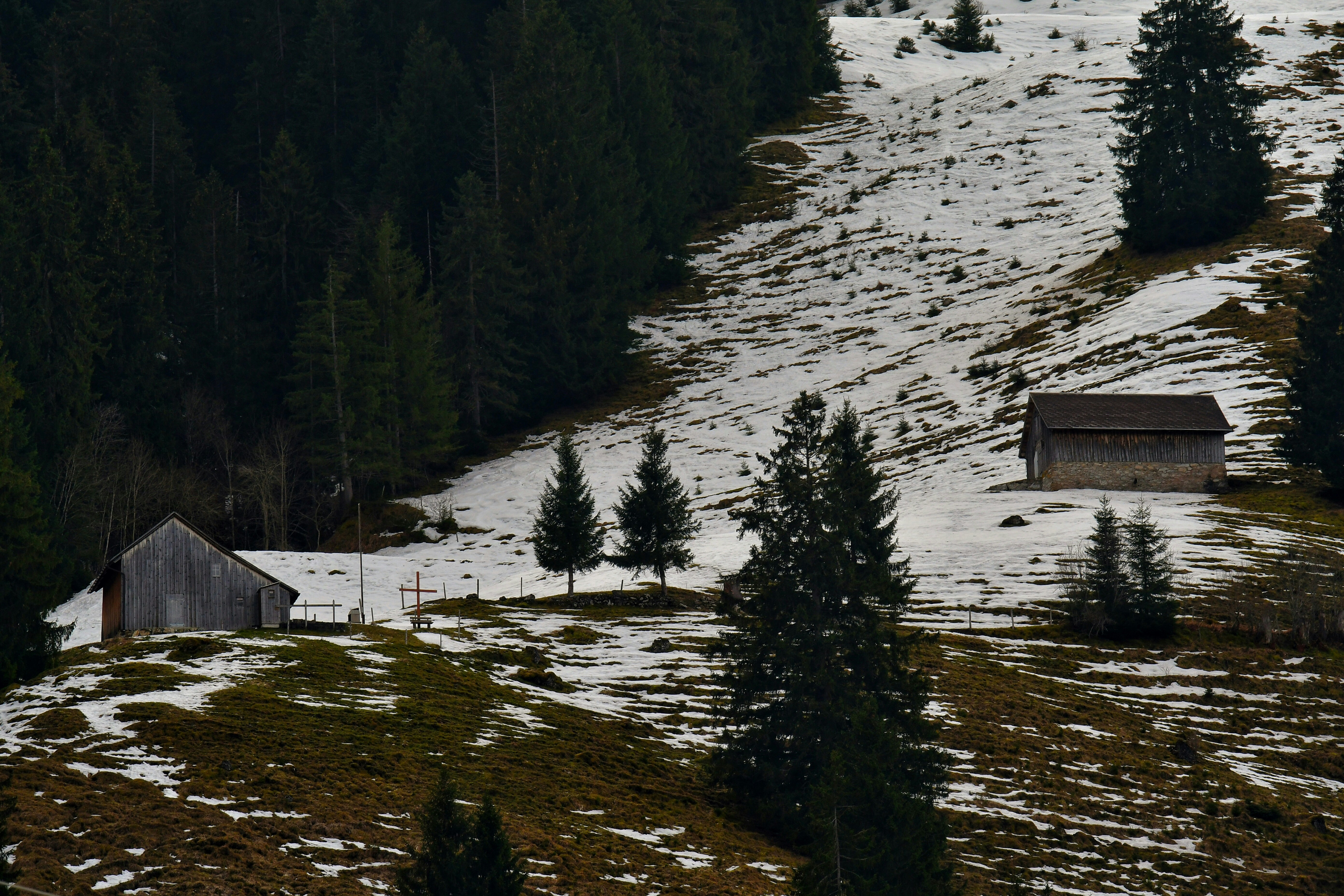 Photo by pedrino5_official