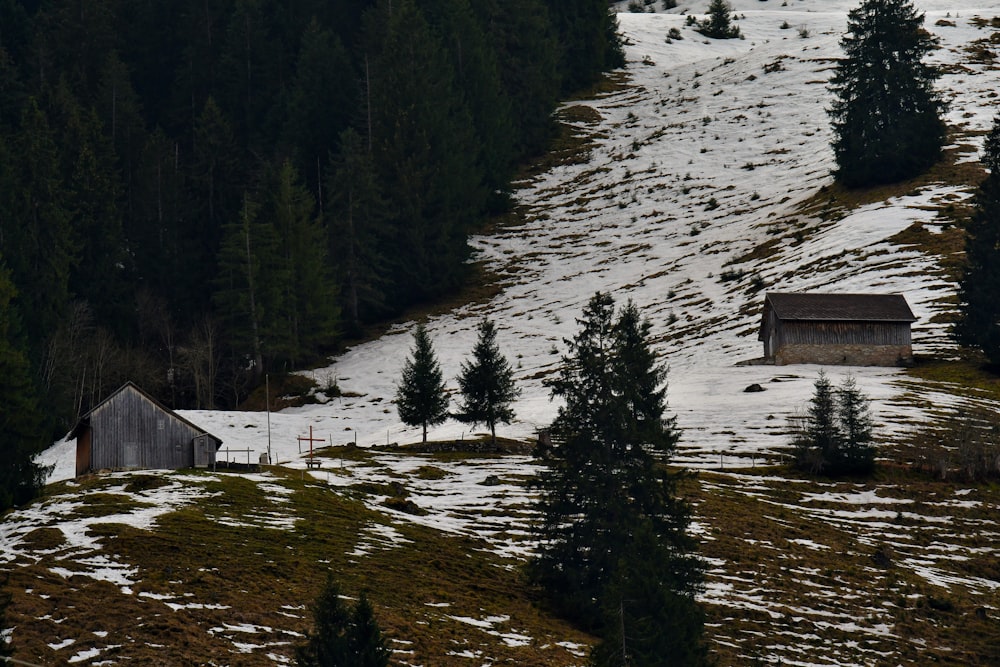 a snow covered hillside with a barn and trees