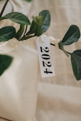 A fabric background is adorned with green leaves and a hanging tag marked with the number 2024. The tag appears to be attached to a drawstring of the cloth.