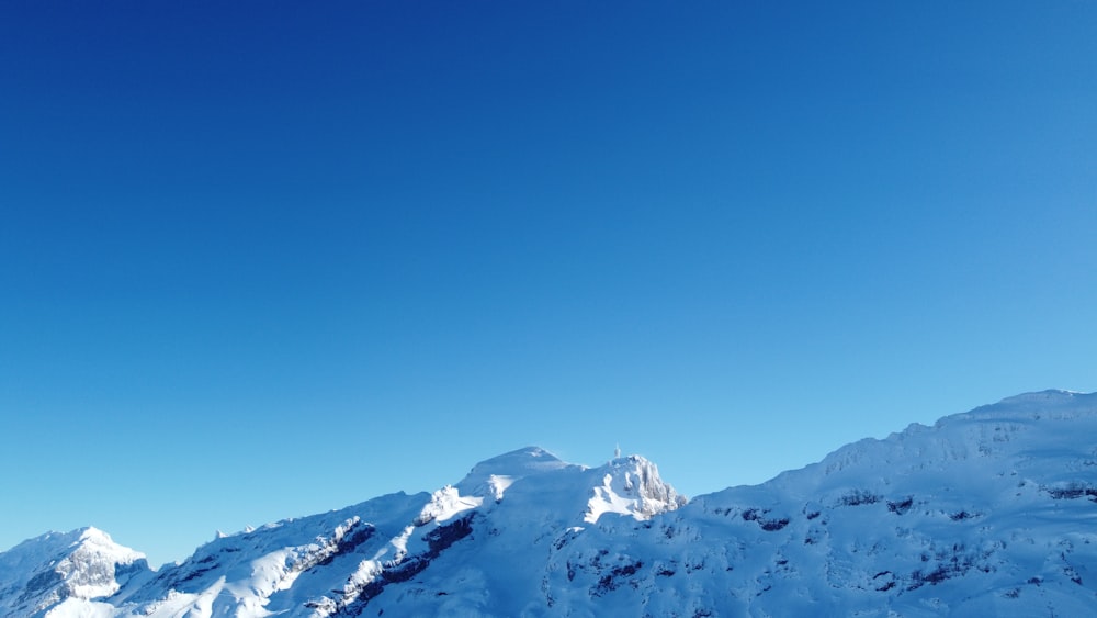 a person on skis standing in the snow