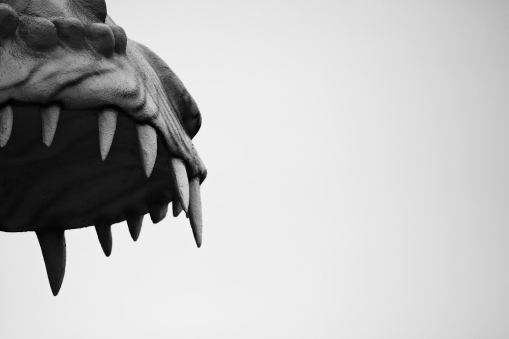 a black and white photo of a dragon's teeth