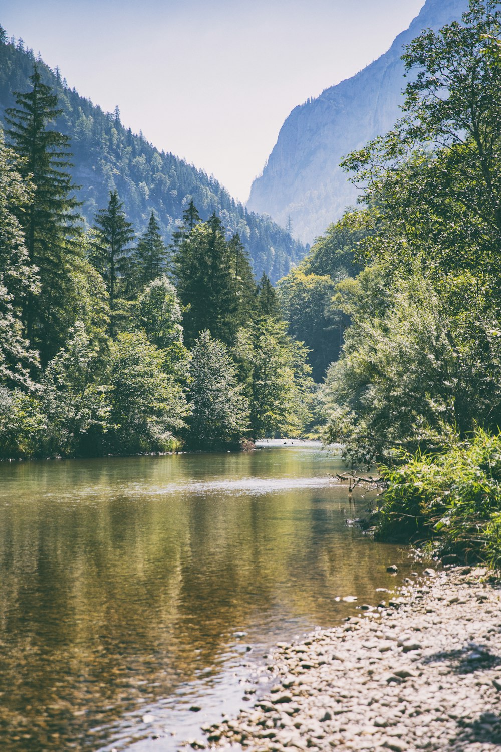 a body of water surrounded by trees and mountains