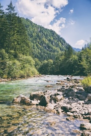 A clear river flows over rocky terrain with lush green forests lining both banks. In the background, a dense forested mountain rises under a blue sky scattered with fluffy white clouds.
