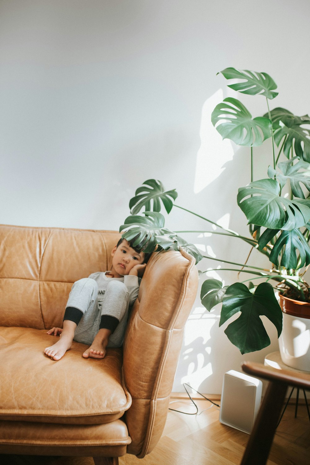 a little boy laying on a couch next to a potted plant