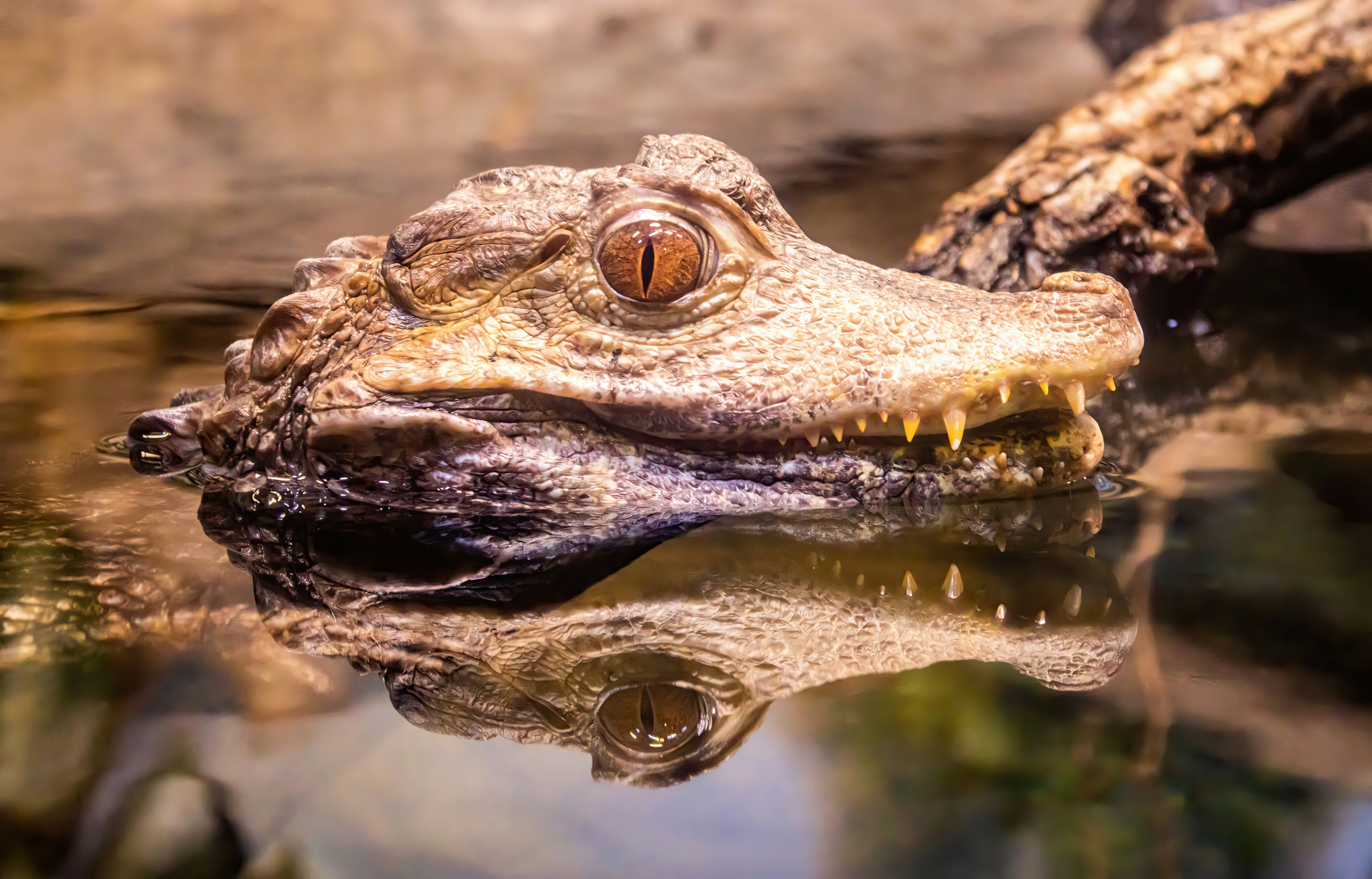 Photo by peterbbryan