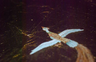 The nightingale logo featuring a bird breaking free from a cage against a dark background.