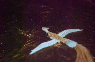 A stylized bird with blue wings and brown body is depicted against a dark background. The bird has long tail feathers and appears to be flying. There are visible fine golden lines and patterns that resemble cracks or artistic details around the bird.