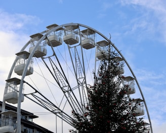a ferris wheel with a christmas tree in front of it