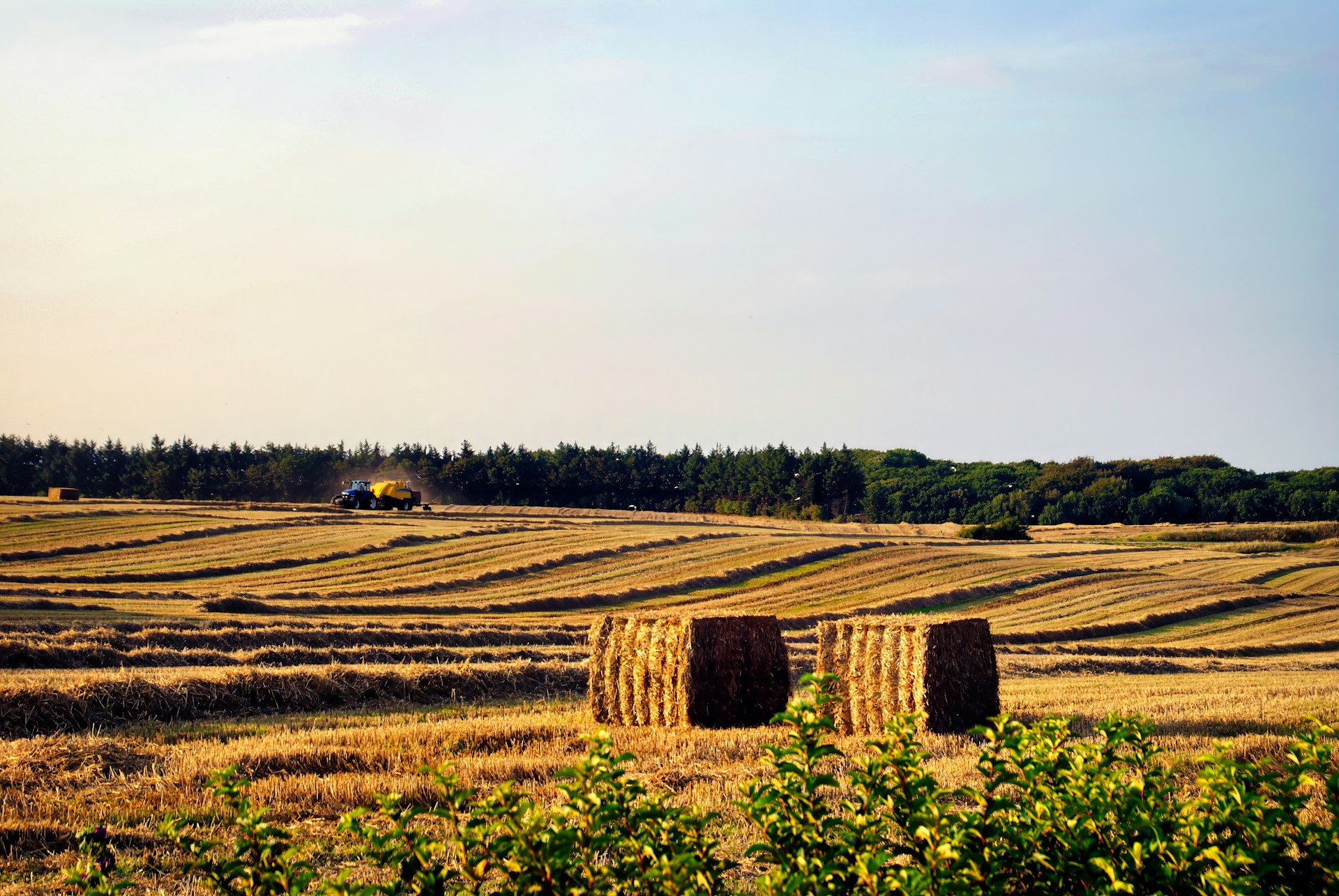 woman wearing yellow long-sleeved dress under white clouds and blue sky during daytime