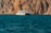 A boat is floating on a deep blue sea with rocky cliffs rising in the background. The cliffs are rugged and have a warm, earthy color. The boat appears to be a small passenger or tour vessel, painted mostly in white.