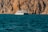 A boat is floating on a deep blue sea with rocky cliffs rising in the background. The cliffs are rugged and have a warm, earthy color. The boat appears to be a small passenger or tour vessel, painted mostly in white.
