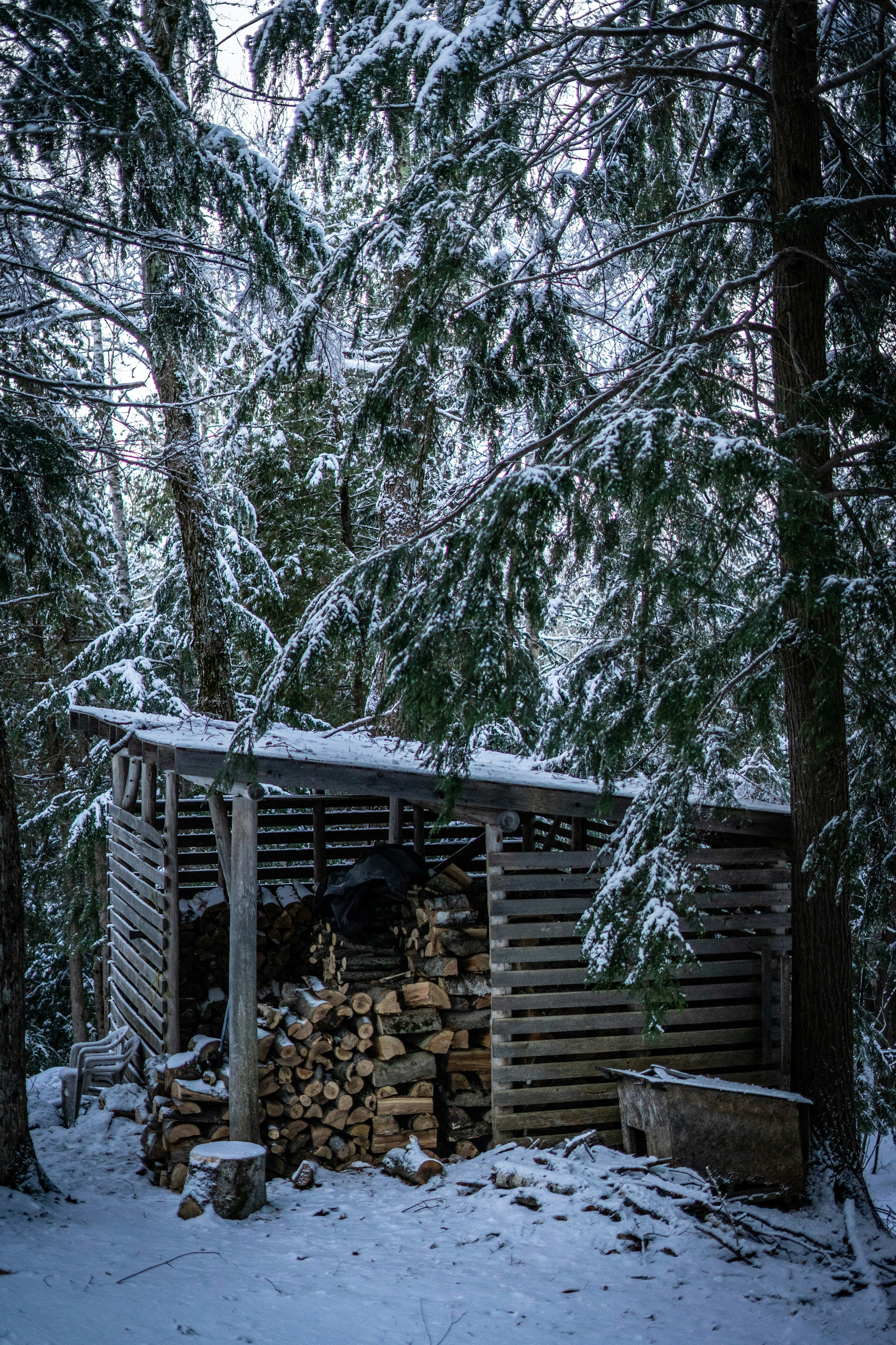 Double-Bay Firewood Shed