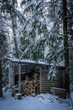 A rustic wooden shed is surrounded by snow-covered trees. The shed is filled with neatly stacked logs of firewood, and a thin layer of snow covers the surfaces. The woods around are dense, with snow-laden branches adding to the wintry atmosphere.