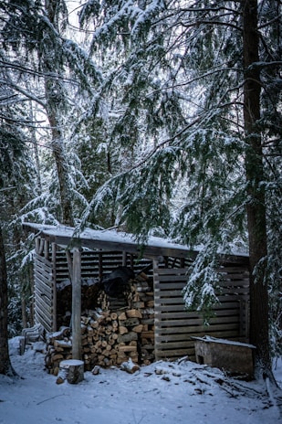 A rustic wooden shed is surrounded by snow-covered trees. The shed is filled with neatly stacked logs of firewood, and a thin layer of snow covers the surfaces. The woods around are dense, with snow-laden branches adding to the wintry atmosphere.