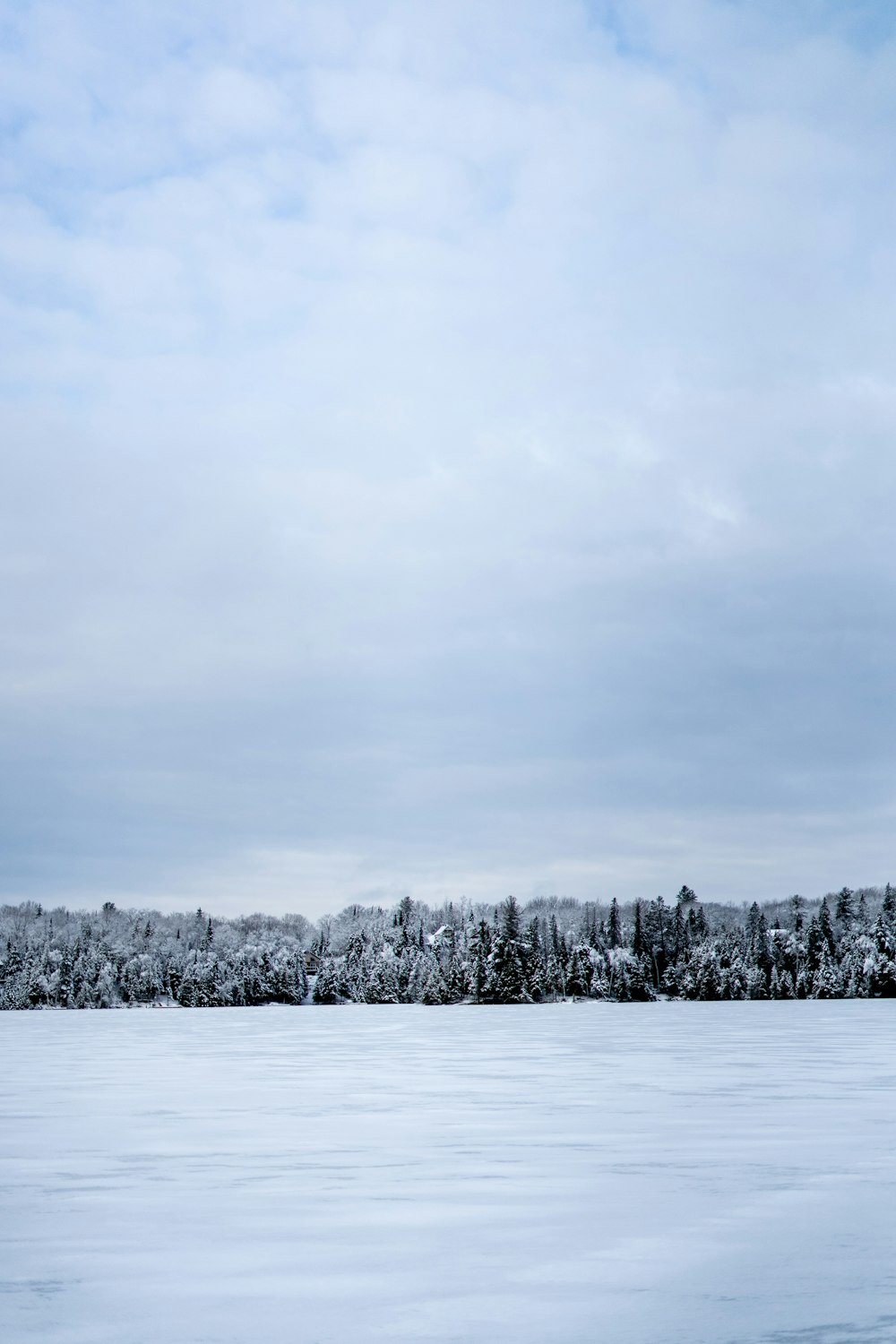 a large body of water with trees in the background