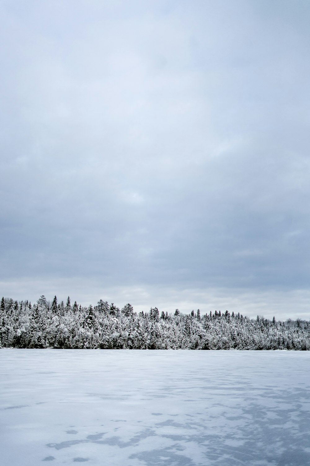 a large body of water surrounded by snow covered trees