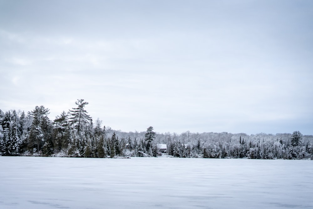 a snow covered field with trees in the background