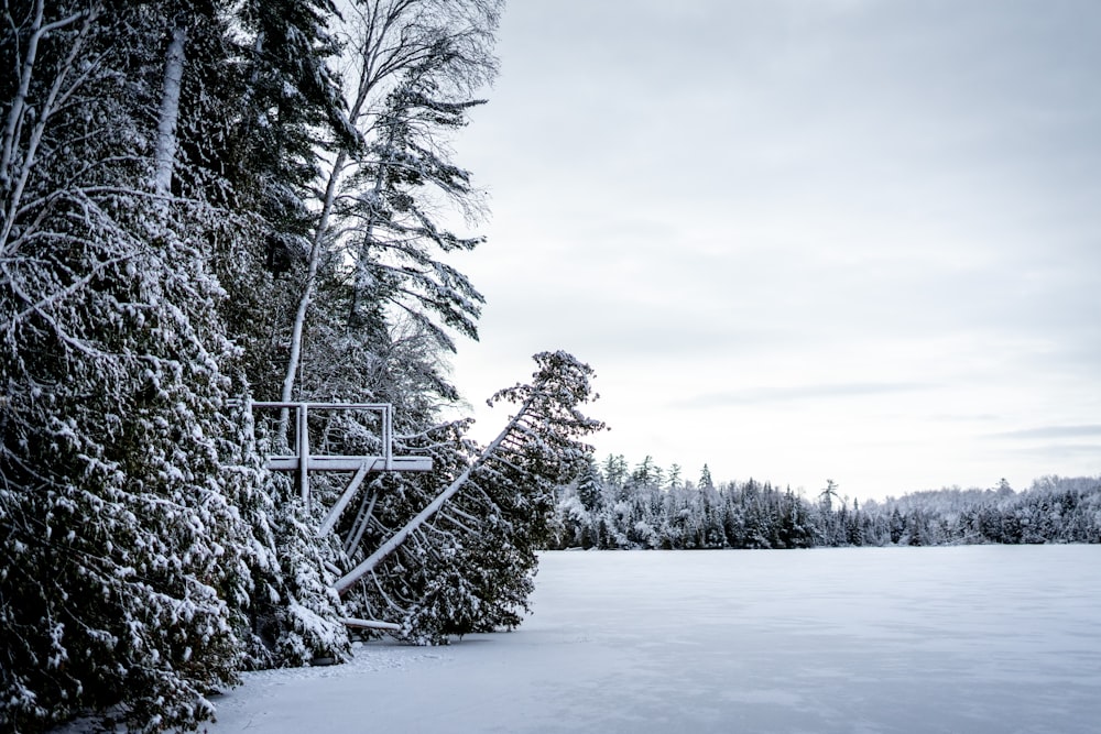 a snow covered field with trees in the background